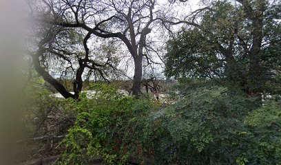 Law Office of Rachel Crutchfield PLLC