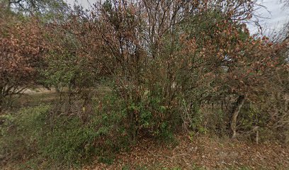 Fowler Law Hays County