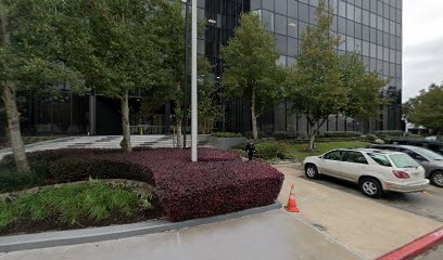 Law Offices of Vincent Van Ho, P.C.