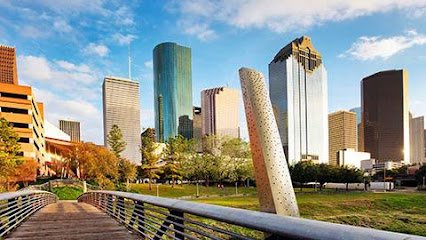 Cotten Schmidt, L.L.P.