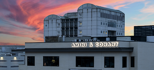 Amini & Conant, LLP