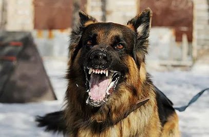 Martinez King Law Firm, PLLC