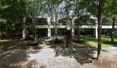 The Woodlands